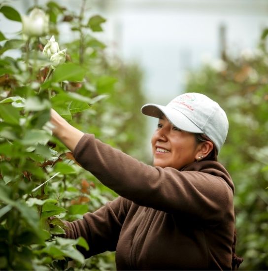 Untitled design (76)