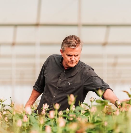 Untitled design (80)